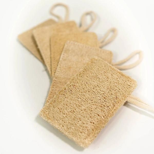 SCRUBBER(Set of 3)